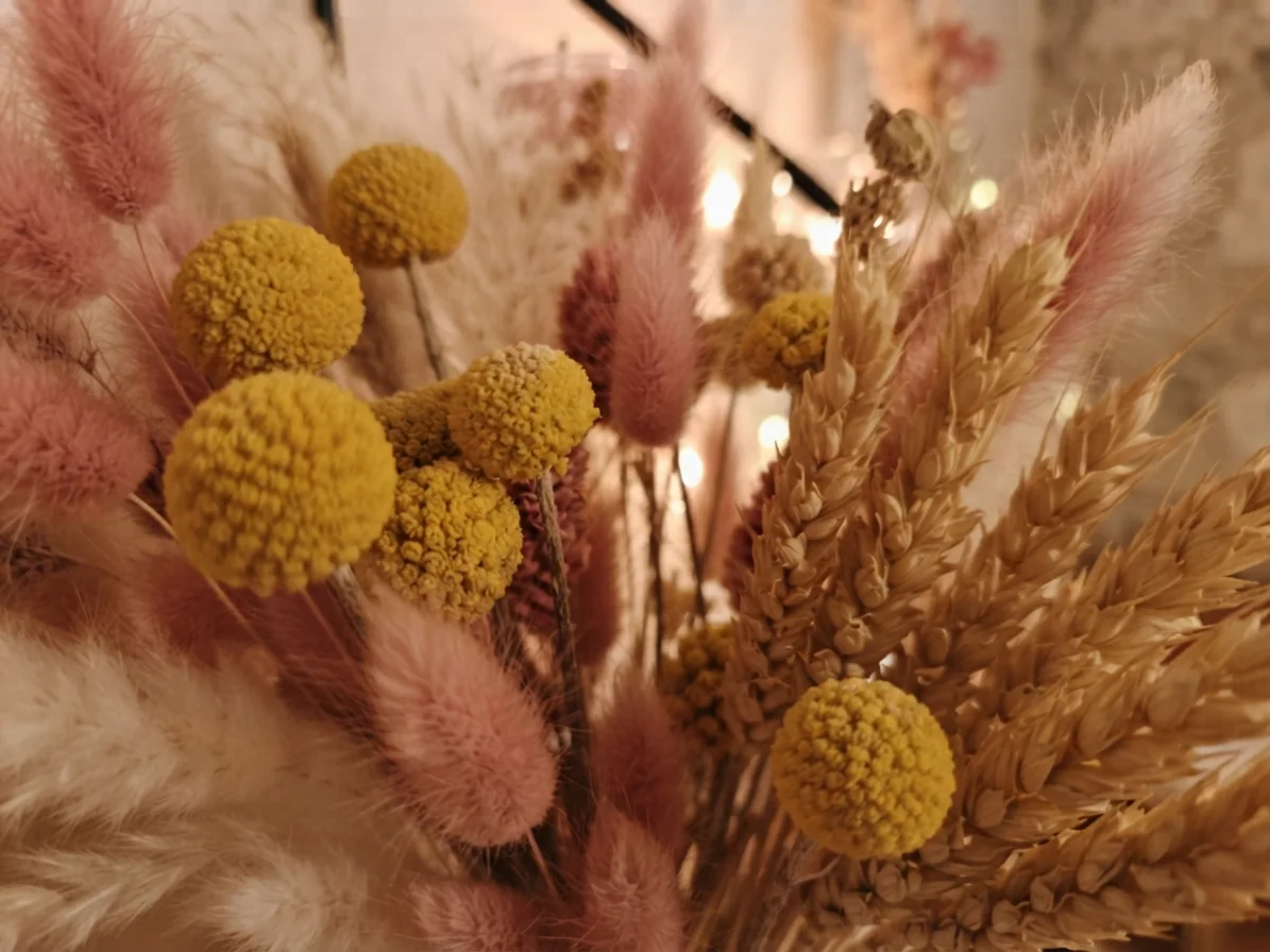 Bouquet de fleurs séchées du cabinet
